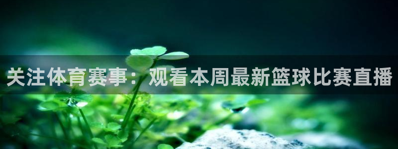关注体育赛事：观看本周最新篮球比赛直播