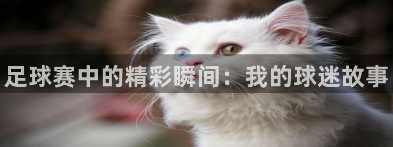 中欧体育平台网址查询：足球赛中的精彩瞬间：我的球迷故事