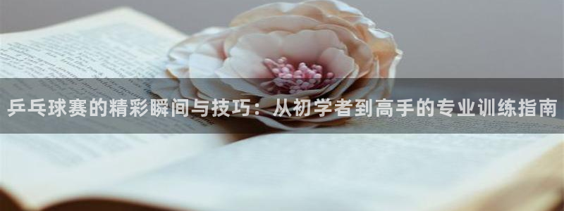 zoty中欧体育网站：乒乓球赛的精彩瞬间与技巧：从初学者到高