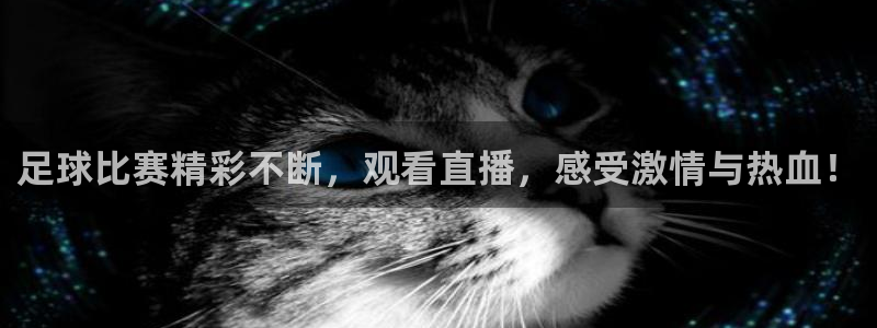 中欧体育kok：足球比赛精彩不断，观看直播，感受激情与热血！