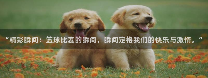 中欧体育平台入口：“精彩瞬间：篮球比赛的瞬间，瞬间定格我们的